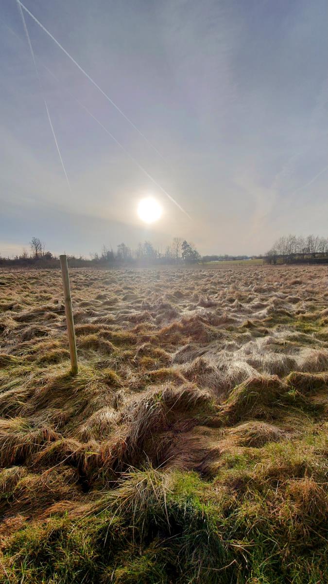 Towards sunset in the countryside in Denmark. Photo by Nordic Scrutinizer.